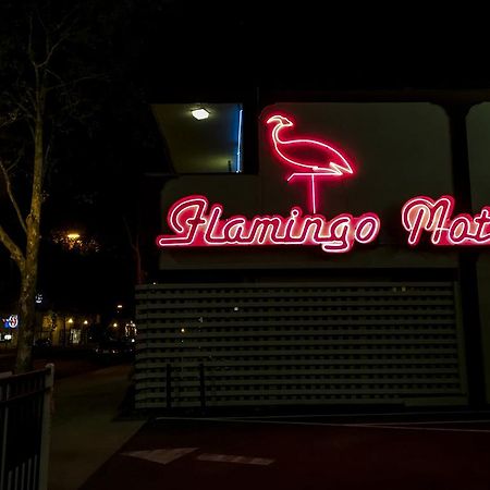 The Flamingo Motel San José Exteriér fotografie