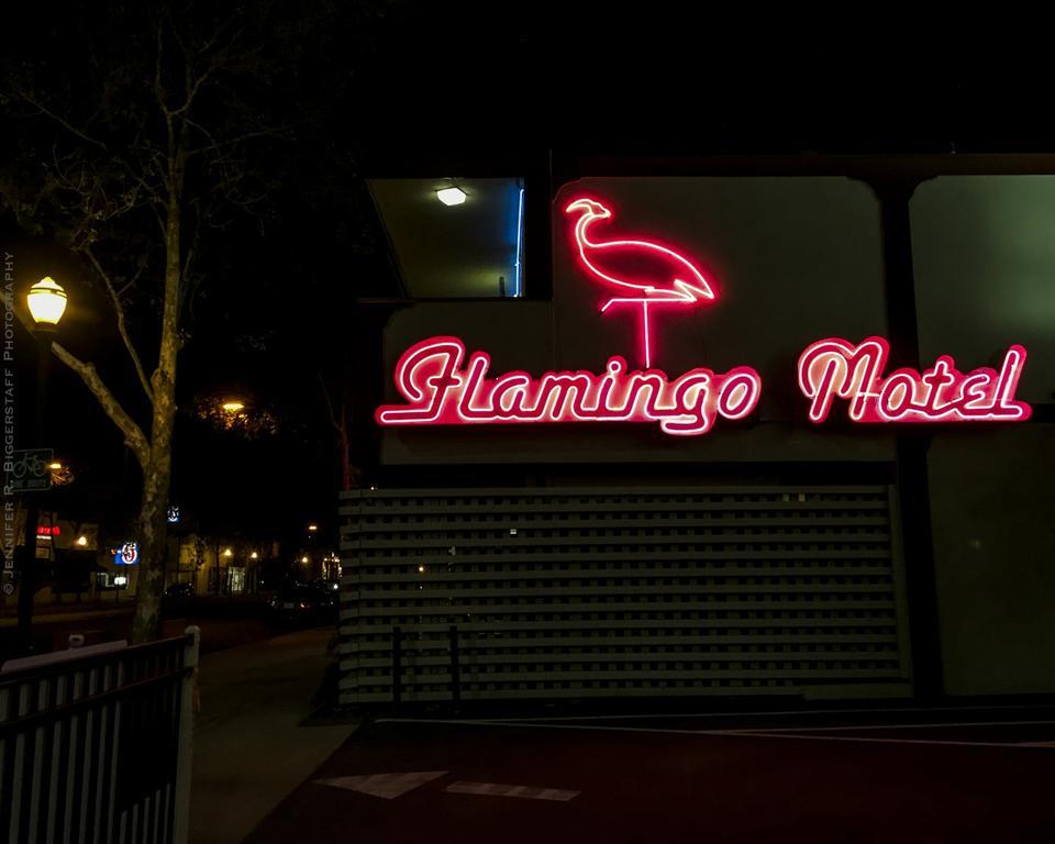 The Flamingo Motel San José Exteriér fotografie