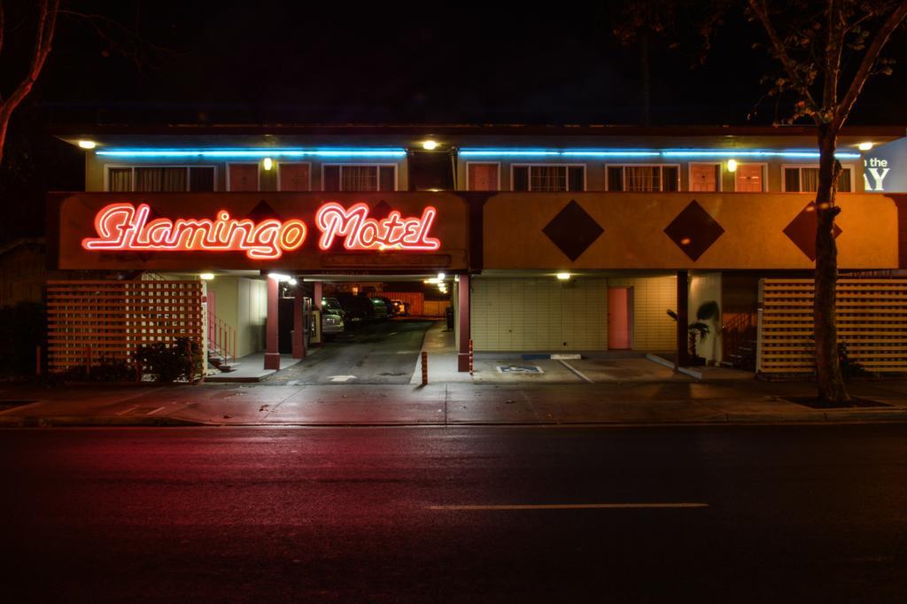 The Flamingo Motel San José Exteriér fotografie