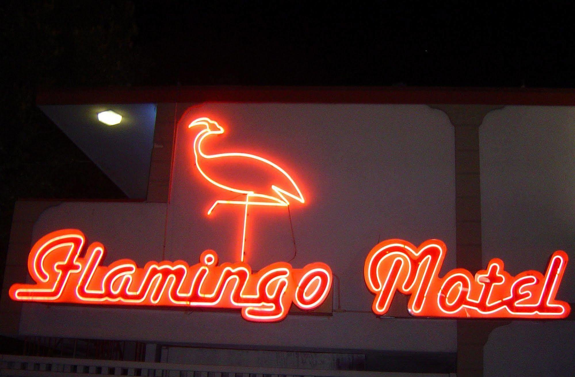 The Flamingo Motel San José Exteriér fotografie