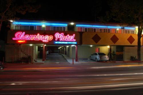 The Flamingo Motel San José Exteriér fotografie